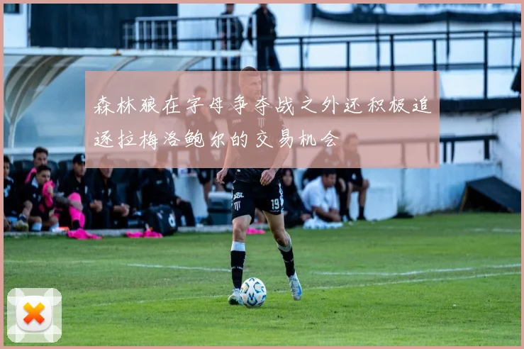 森林狼在字母争夺战之外还积极追逐拉梅洛鲍尔的交易机会