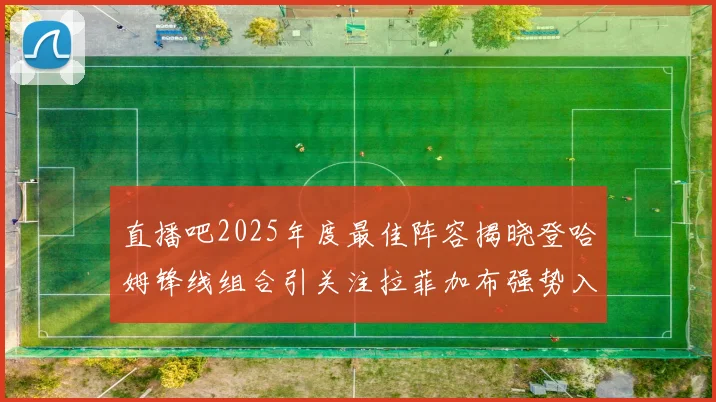 直播吧2025年度最佳阵容揭晓登哈姆锋线组合引关注拉菲加布强势入选