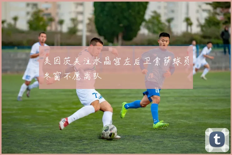 美因茨关注水晶宫左后卫索萨球员冬窗不愿离队