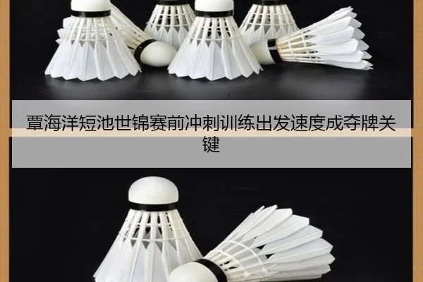 img_1792012370796_1444_0_876.jpg | jinnianhui